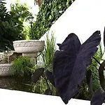 Malaquita Boutique Hotel